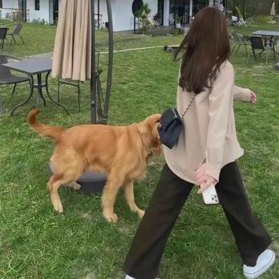 春天里的人们